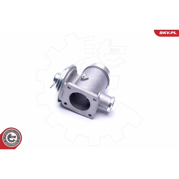 Egr-ventil Esen skv 14SKV176 ESEN SKV
