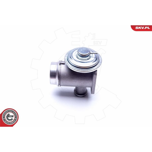 Egr-ventil Esen skv 14SKV176 ESEN SKV