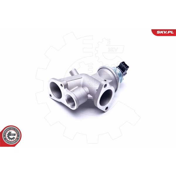 Egr-ventil Esen skv 14SKV181 ESEN SKV