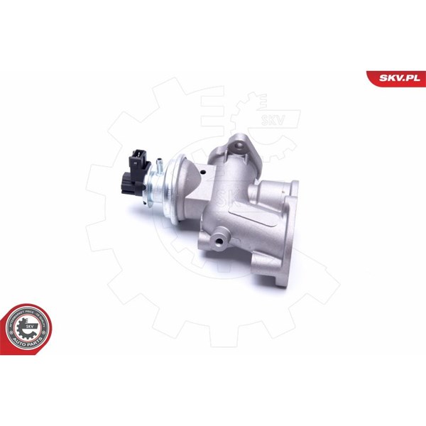 Egr-ventil Esen skv 14SKV181 ESEN SKV