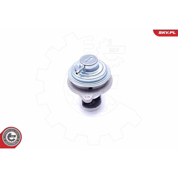 Egr-ventil Esen skv 14SKV182 ESEN SKV