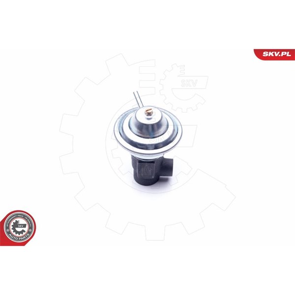 Egr-ventil Esen skv 14SKV187 ESEN SKV