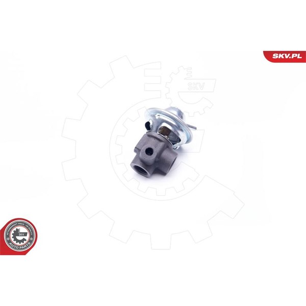Egr-ventil Esen skv 14SKV187 ESEN SKV