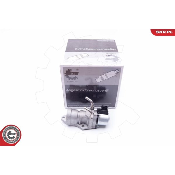 Egr-ventil 12V Esen skv 14SKV190 ESEN SKV