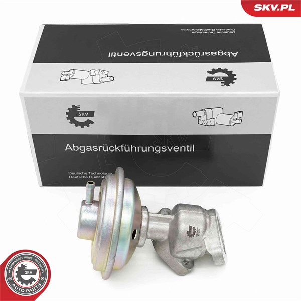 Egr-ventil Esen skv 14SKV258 ESEN SKV