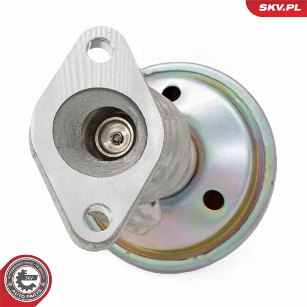 Egr-ventil Esen skv 14SKV258 ESEN SKV
