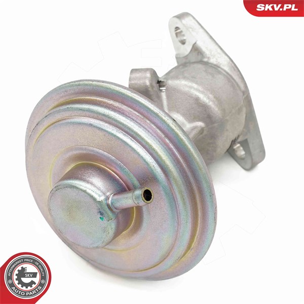Egr-ventil Esen skv 14SKV258 ESEN SKV