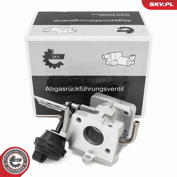 Egr-ventil Esen skv 14SKV290 ESEN SKV Egr-ventil Esen skv 14SKV290 ESEN SKV