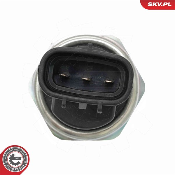 Sensor, bränsletryck Esen skv 17SKV080 ESEN SKV Sensor, bränsletryck Esen skv 17SKV080 ESEN SKV