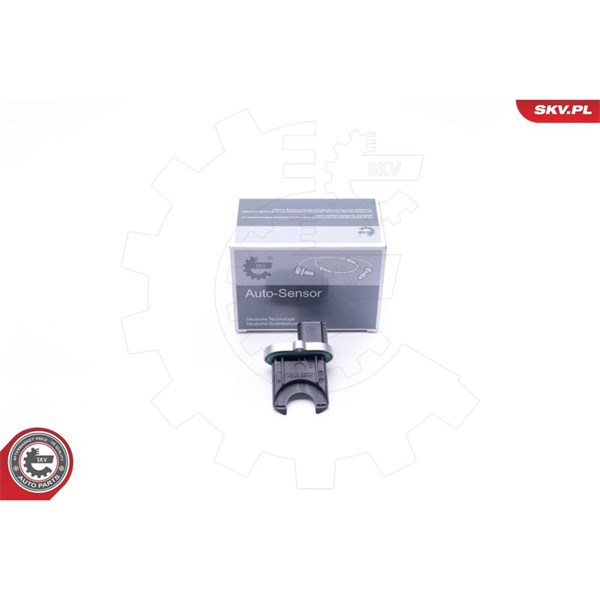 Styrvinkelsensor 12V Esen skv 17SKV382 ESEN SKV
