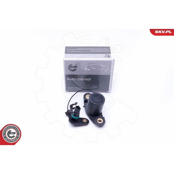 Sensor, motoroljenivå 12V Esen skv 17SKV401 ESEN SKV