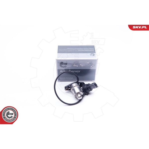 Sensor, motoroljenivå 12V Esen skv 17SKV405 ESEN SKV