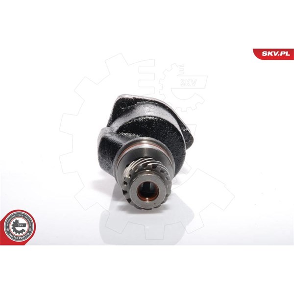 Vakuumpump, bromssystem Esen skv 18SKV001 ESEN SKV