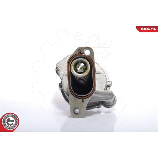 Vakuumpump, bromssystem Esen skv 18SKV005 ESEN SKV