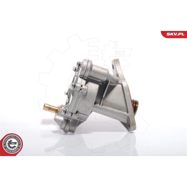Vakuumpump, bromssystem Esen skv 18SKV005 ESEN SKV