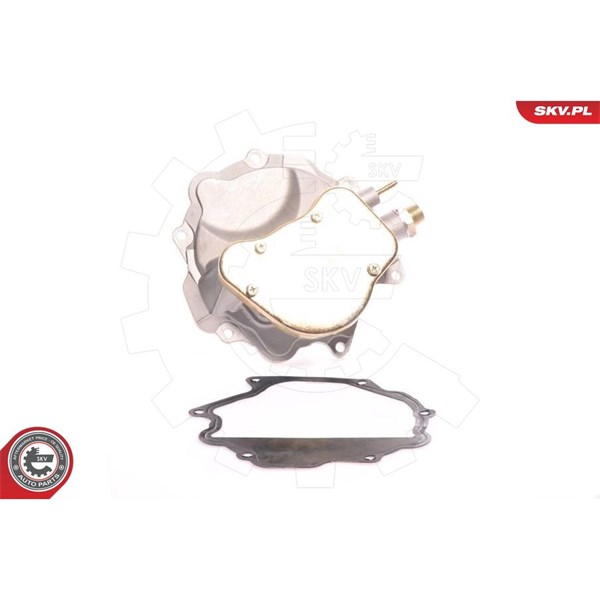 Vakuumpump, bromssystem Esen skv 18SKV007 ESEN SKV