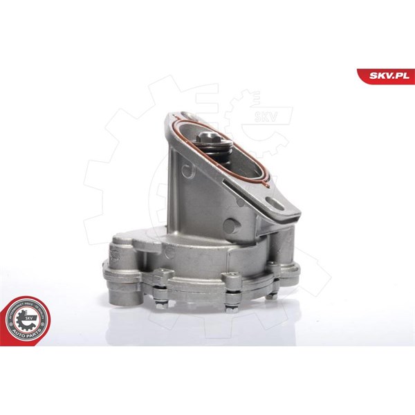 Vakuumpump, bromssystem Esen skv 18SKV009 ESEN SKV