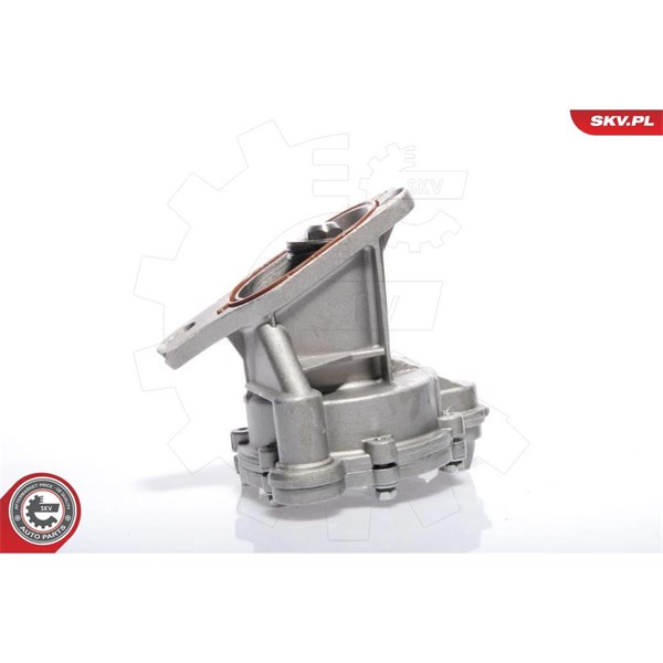 Vakuumpump, bromssystem Esen skv 18SKV009 ESEN SKV
