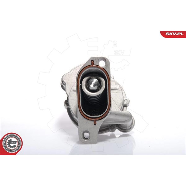 Vakuumpump, bromssystem Esen skv 18SKV009 ESEN SKV