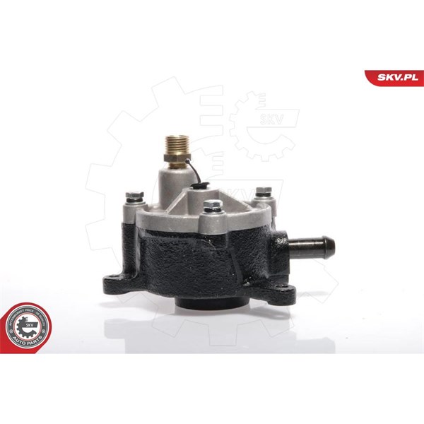Vakuumpump, bromssystem Esen skv 18SKV010 ESEN SKV