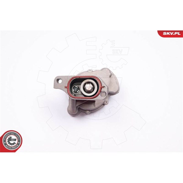 Vakuumpump, bromssystem Esen skv 18SKV013 ESEN SKV