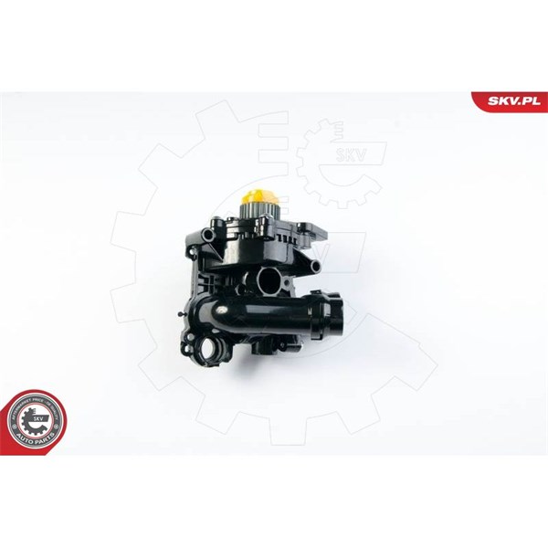 Vattenpump, oberoende uppvärmning 12V Esen skv 22SKV001 ESEN SKV
