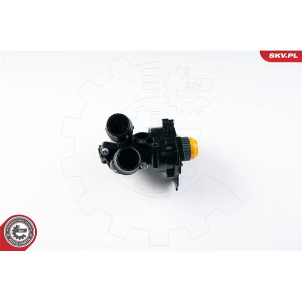 Vattenpump, oberoende uppvärmning 12V Esen skv 22SKV001 ESEN SKV