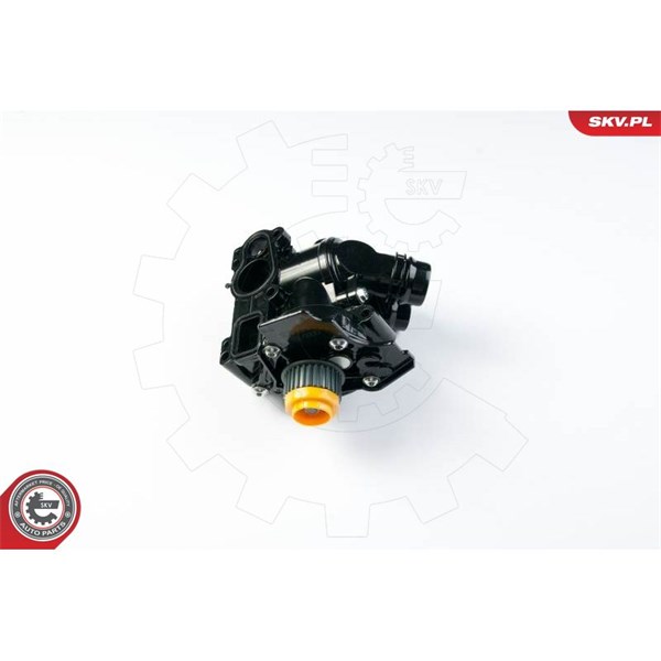 Vattenpump, oberoende uppvärmning 12V Esen skv 22SKV001 ESEN SKV