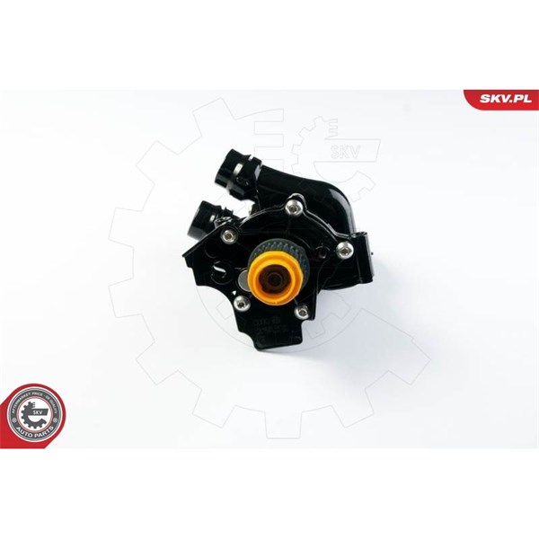 Vattenpump, oberoende uppvärmning 12V Esen skv 22SKV001 ESEN SKV
