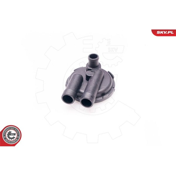 Ventil, vevhusventilation, Cylindriskt huvud Esen skv 31SKV011 ESEN SKV