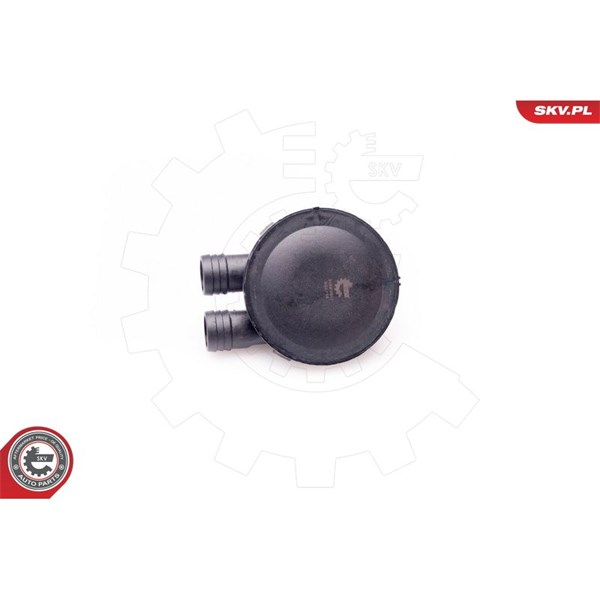 Ventil, vevhusventilation, Cylindriskt huvud Esen skv 31SKV011 ESEN SKV