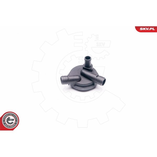 Ventil, vevhusventilation, Cylindriskt huvud Esen skv 31SKV012 ESEN SKV