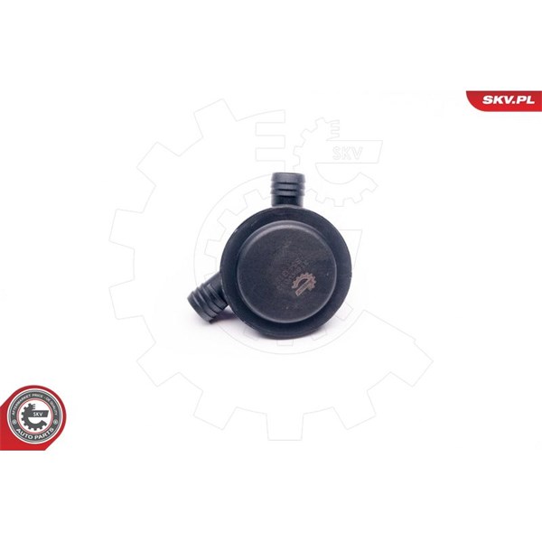 Ventil, vevhusventilation, Cylindriskt huvud Esen skv 31SKV012 ESEN SKV