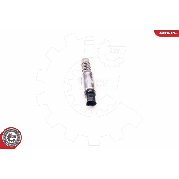 VVT-ventil Esen skv 39SKV010 ESEN SKV VVT-ventil Esen skv 39SKV010 ESEN SKV