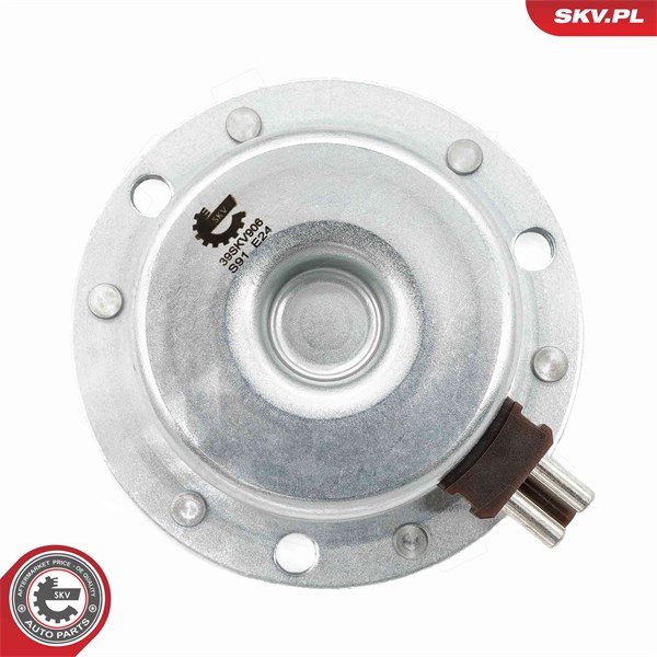 VVT-ventil Esen skv 39SKV906 ESEN SKV VVT-ventil Esen skv 39SKV906 ESEN SKV