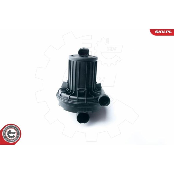 Sekundärluftpump 12V Esen skv 96SKV200 ESEN SKV