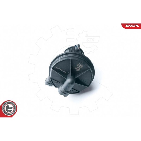 Sekundärluftpump 12V Esen skv 96SKV200 ESEN SKV