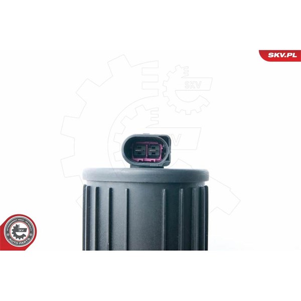 Sekundärluftpump 12V Esen skv 96SKV200 ESEN SKV