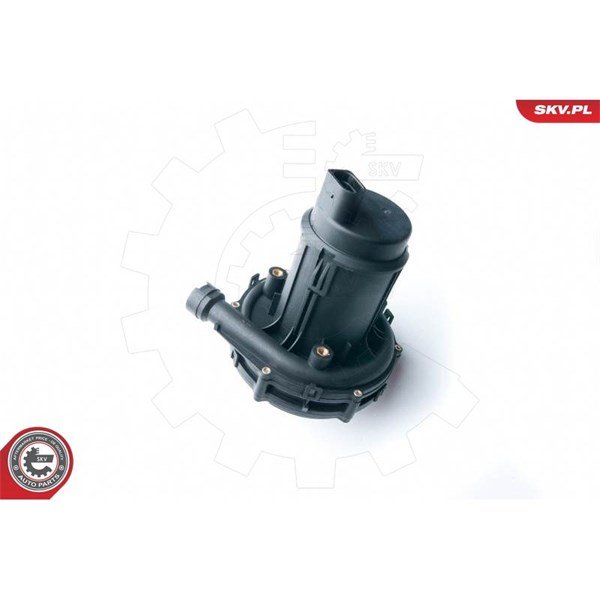 Sekundärluftpump 12V Esen skv 96SKV201 ESEN SKV