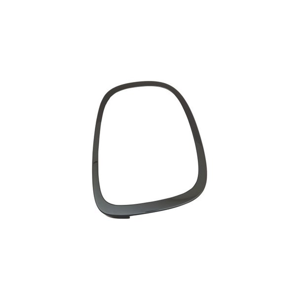 Baklyktsmask, Vänster