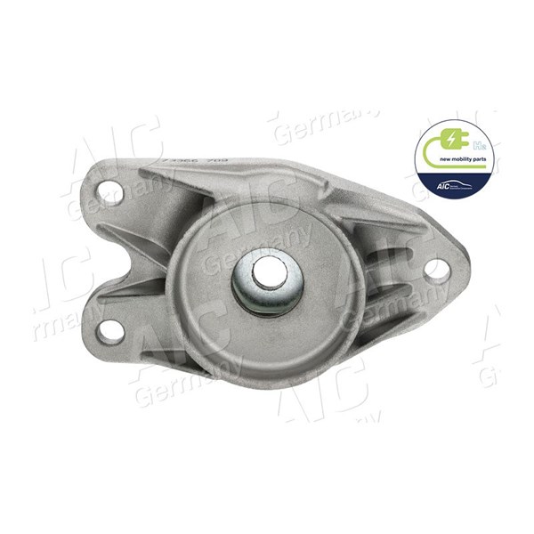 Fjäderbenslager, Bakaxel höger, Bakaxel vänster Aic 73366 AIC