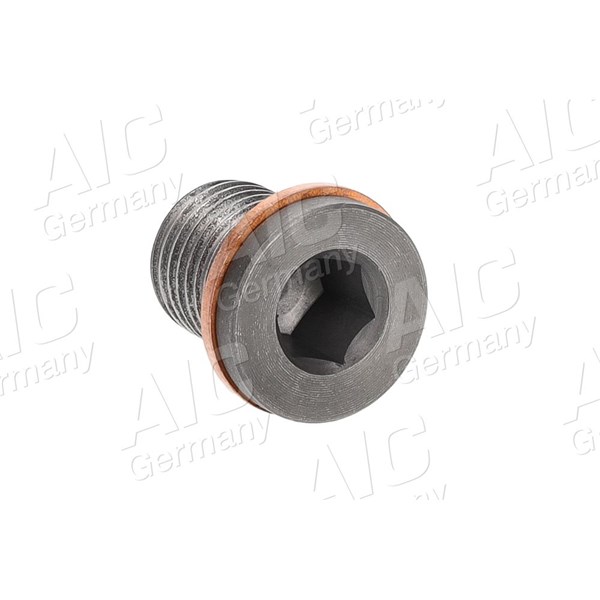 Oljetrågsavtappningsplugg Aic 74197 AIC