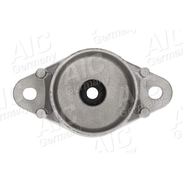 Fjäderbenslager, Bakaxel höger, Bakaxel vänster Aic 74618 AIC
