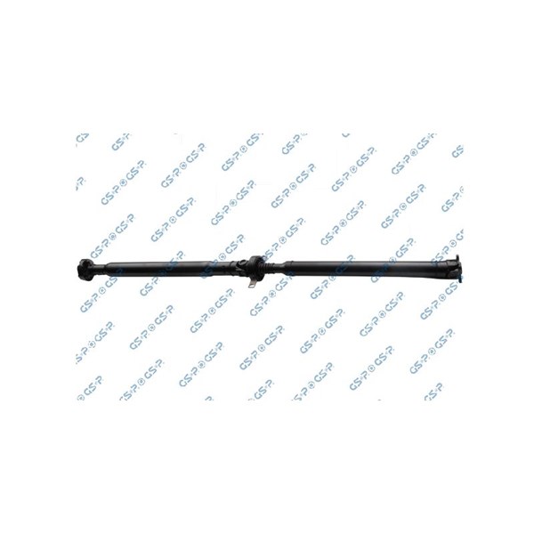 Kardan, Bak Gsp PS900118 GSP
