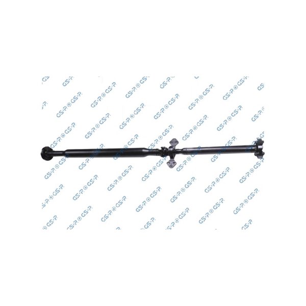 Kardan, Bak Gsp PS901469 GSP