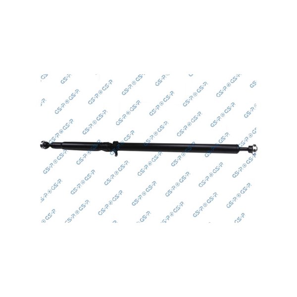 Kardan, Bak Gsp PS901651 GSP