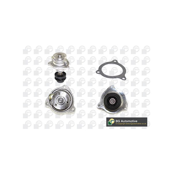 Vattenpump Bga CP7208T BGA