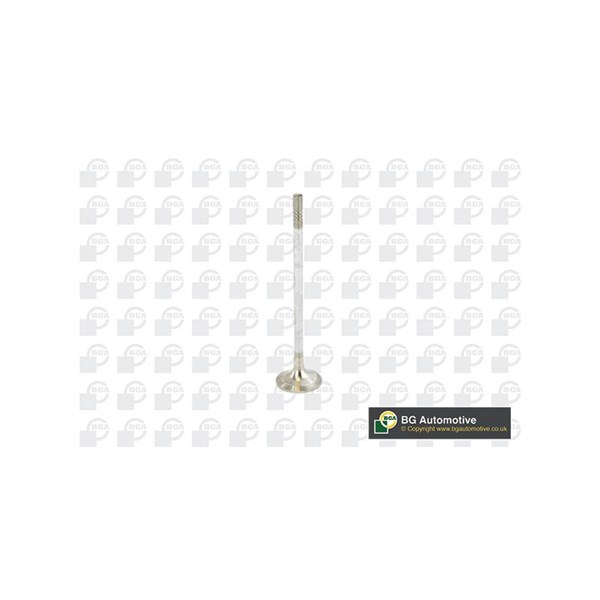 Avgasventil Bga V016840 BGA Avgasventil Bga V016840 BGA
