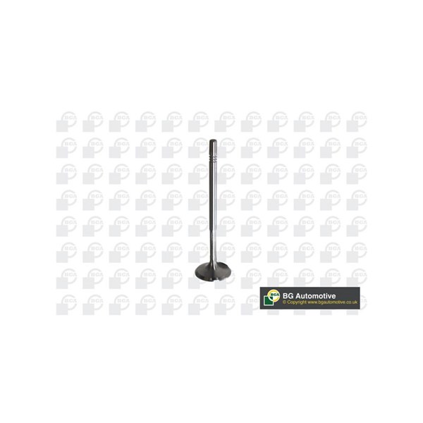Insugsventil Bga V560013 BGA