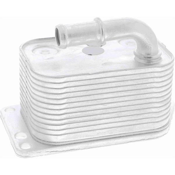 Oljekylare, motor